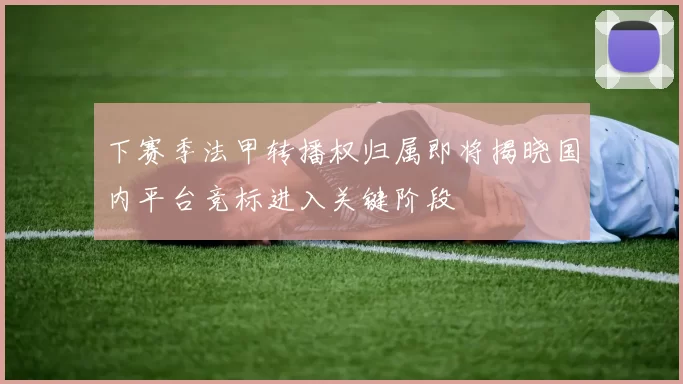 下赛季法甲转播权归属即将揭晓国内平台竞标进入关键阶段