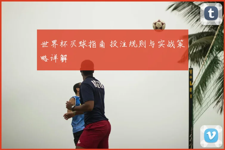 世界杯买球指南 投注规则与实战策略详解